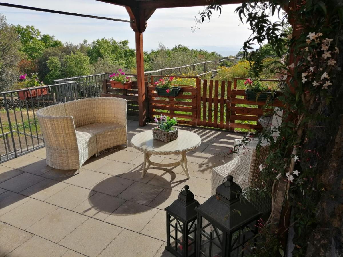 Horse House Apartment Ragalna ภายนอก รูปภาพ